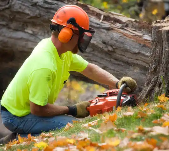 tree services Garden City South